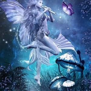 Meet your Posher, Robin